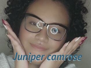 Juniper_camrose
