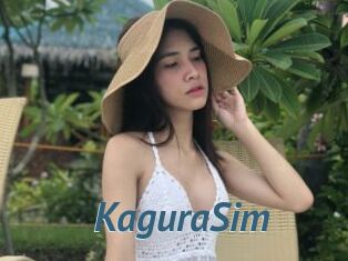 KaguraSim