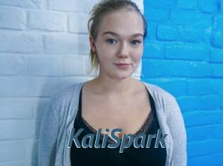 KaliSpark