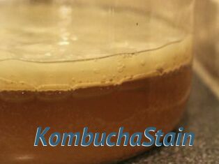 KombuchaStain
