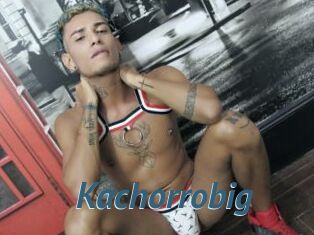 Kachorrobig