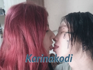 Karinakodi