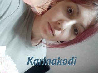 Karinakodi