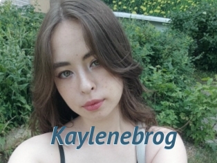 Kaylenebrog