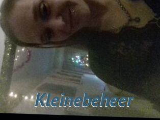 Kleinebeheer