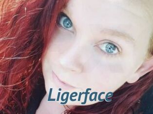 Ligerface