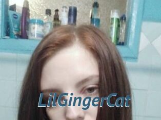 LilGingerCat