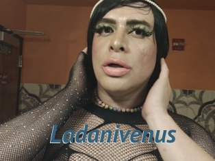 Ladanivenus