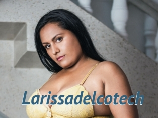 Larissadelcotech