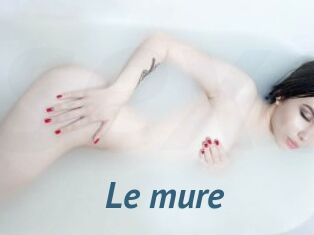 Le_mure