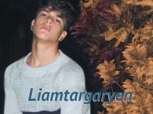 Liamtargaryen