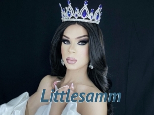 Littlesamm