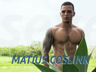 MATIUS_COSLINK