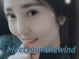 Meetyouinthewind