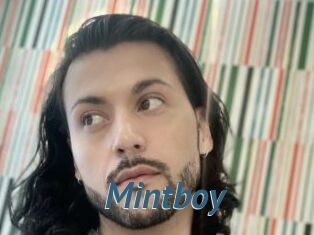 Mintboy
