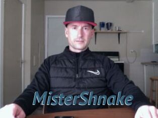 MisterShnake
