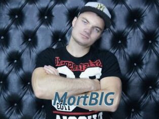 MortBIG