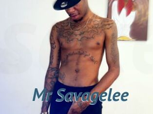 Mr_Savagelee