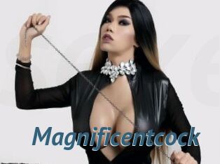 Magnificentcock