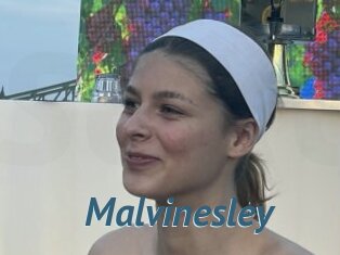 Malvinesley
