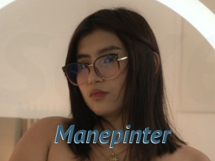 Manepinter