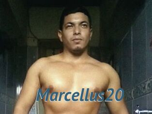 Marcellus20