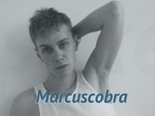 marcuscobra Sexe Fr