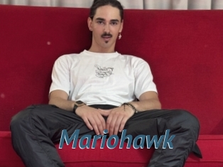 Mariohawk