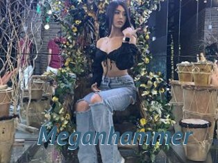 Meganhammer