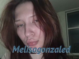 Melisagonzaled