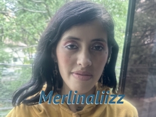 Merlinaliizz