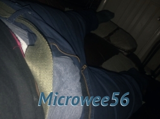 Microwee56