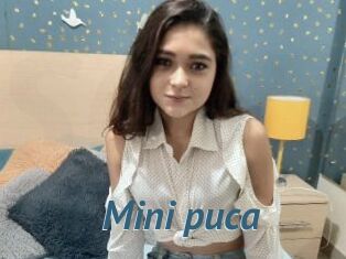 Mini_puca