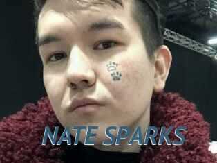 NATE_SPARKS