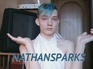 NATHAN_SPARKS
