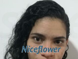 Nice_flower