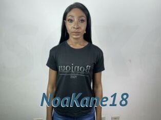 NoaKane18