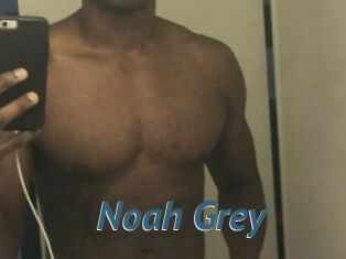 Noah_Grey