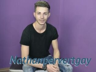 Nathanpervertgay
