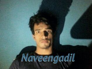 Naveengadil