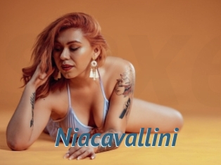 Niacavallini