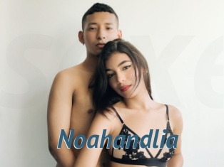 Noahandlia