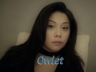 _Owlet_