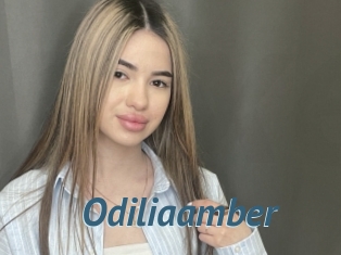 Odiliaamber