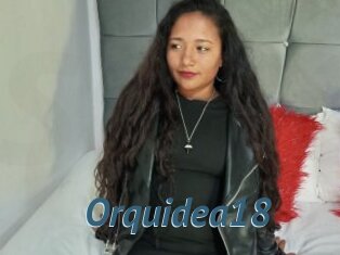 Orquidea18