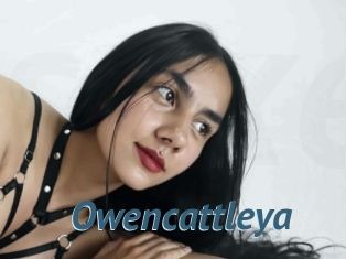 Owencattleya