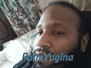 PalmVagina