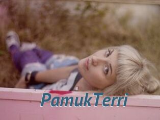 PamukTerri