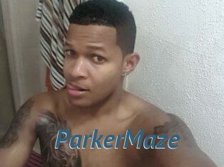 Parker_Maze