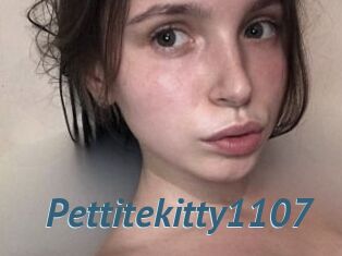 Pettitekitty1107